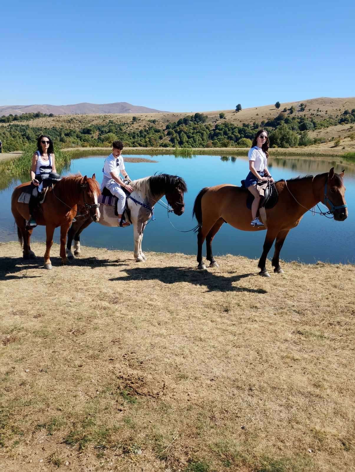 Планински предели и коњи