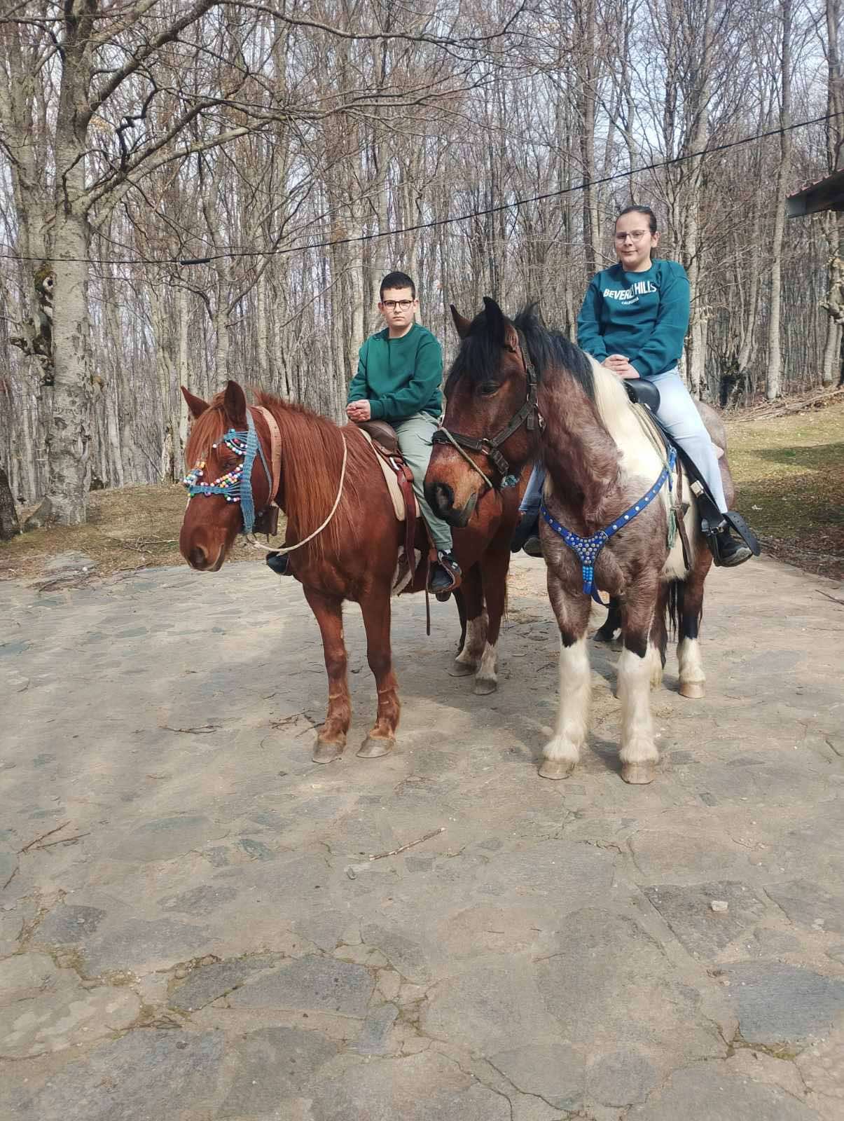 Приватни тури на коњи